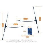 BAYCK 915Mhz 868MHz Dual Core Diversity Long Range